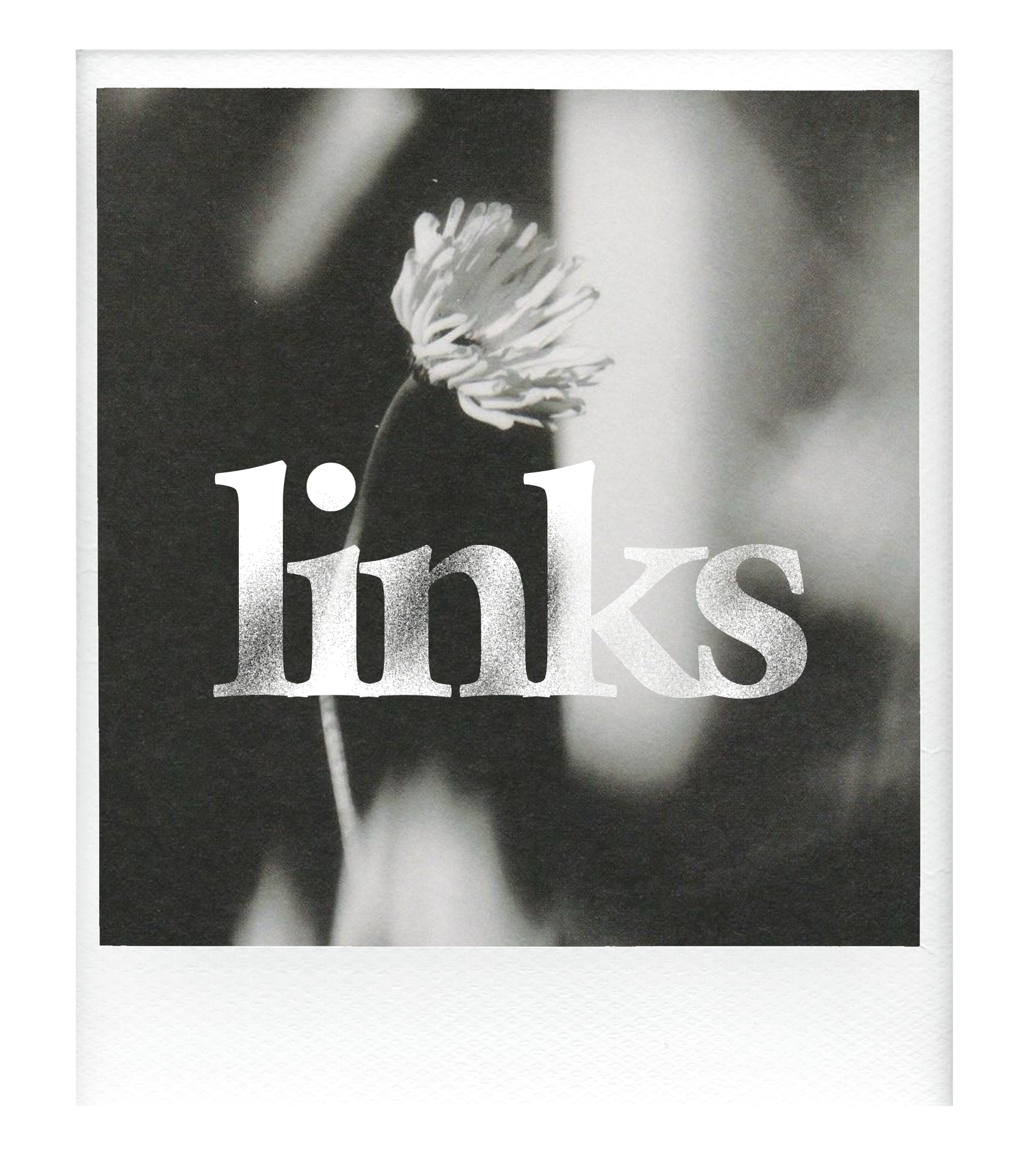section social networks